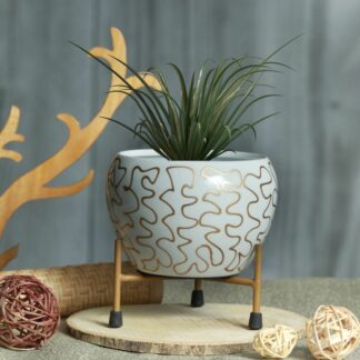 Planter Pot
